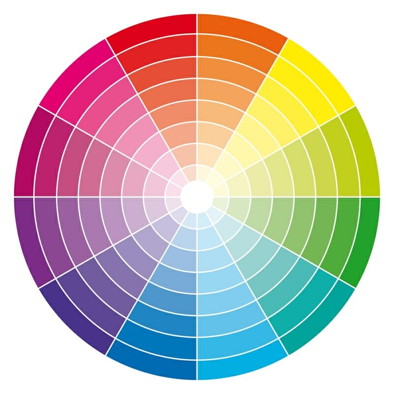 A color wheel on a white background.