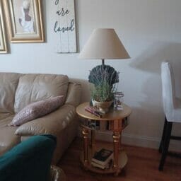 customer photo of mirror end table in their living room. table has a lamp and lavender plant on top, and is placed next to the couch.